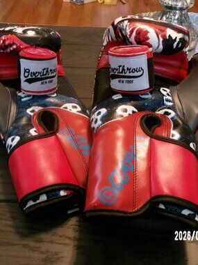 Overthrow New York x Clayton Patterson Collab SPECIAL ED Boxing Gloves 16 Oz